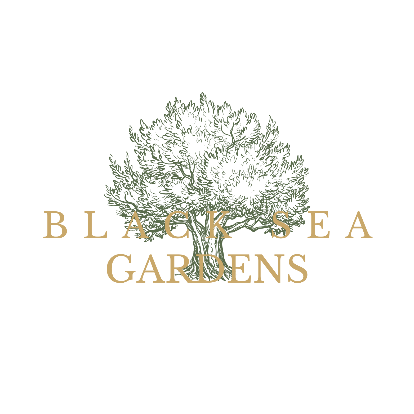 Navy and Gold Minimalist Elegant Premium Brand Logo (1)